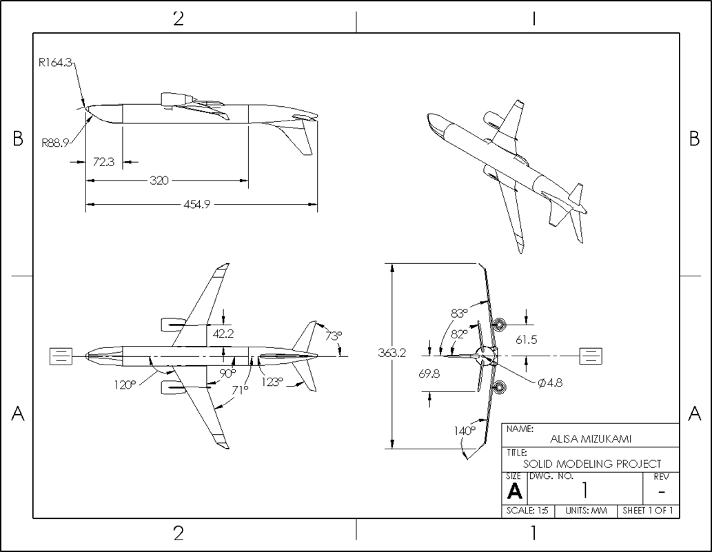 The engineering drawing.